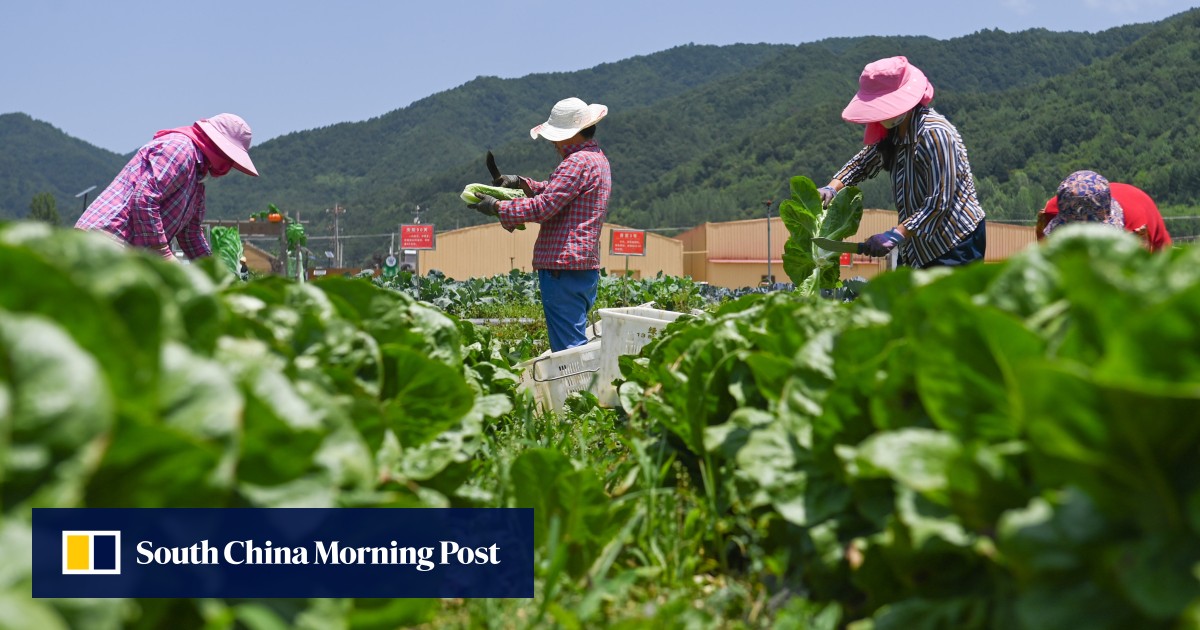 South China Morning Post