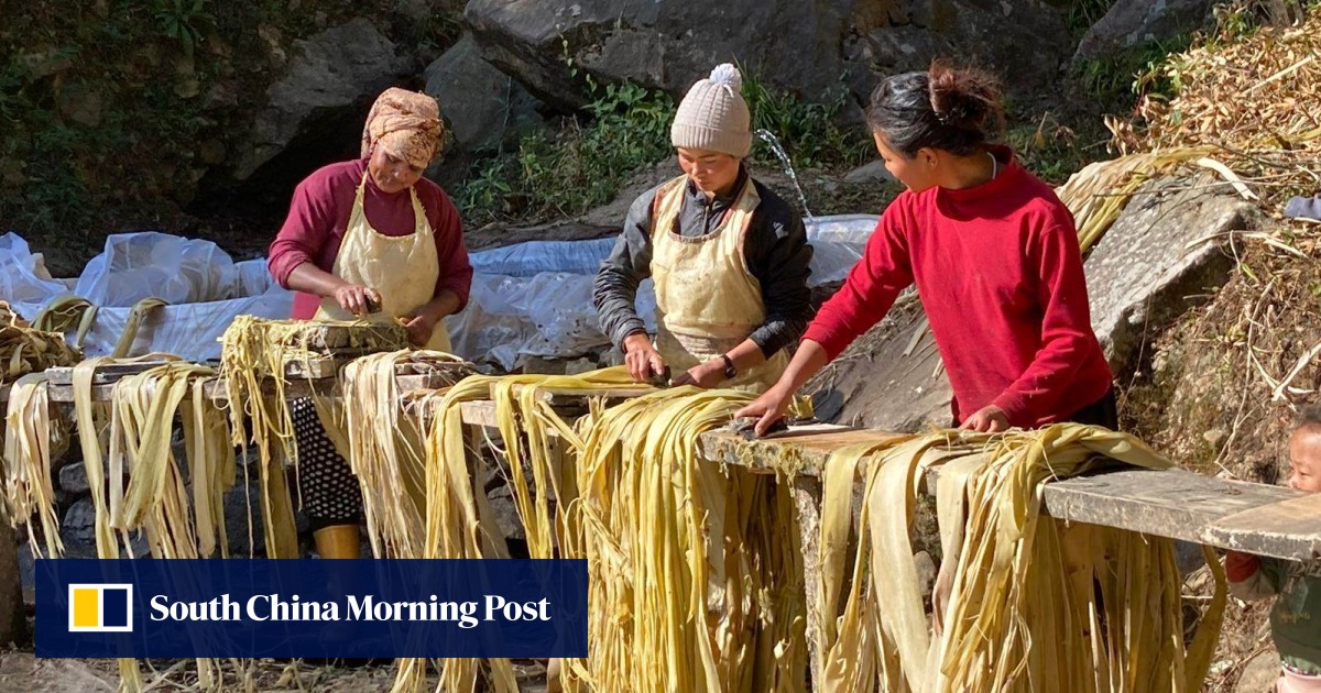 South China Morning Post