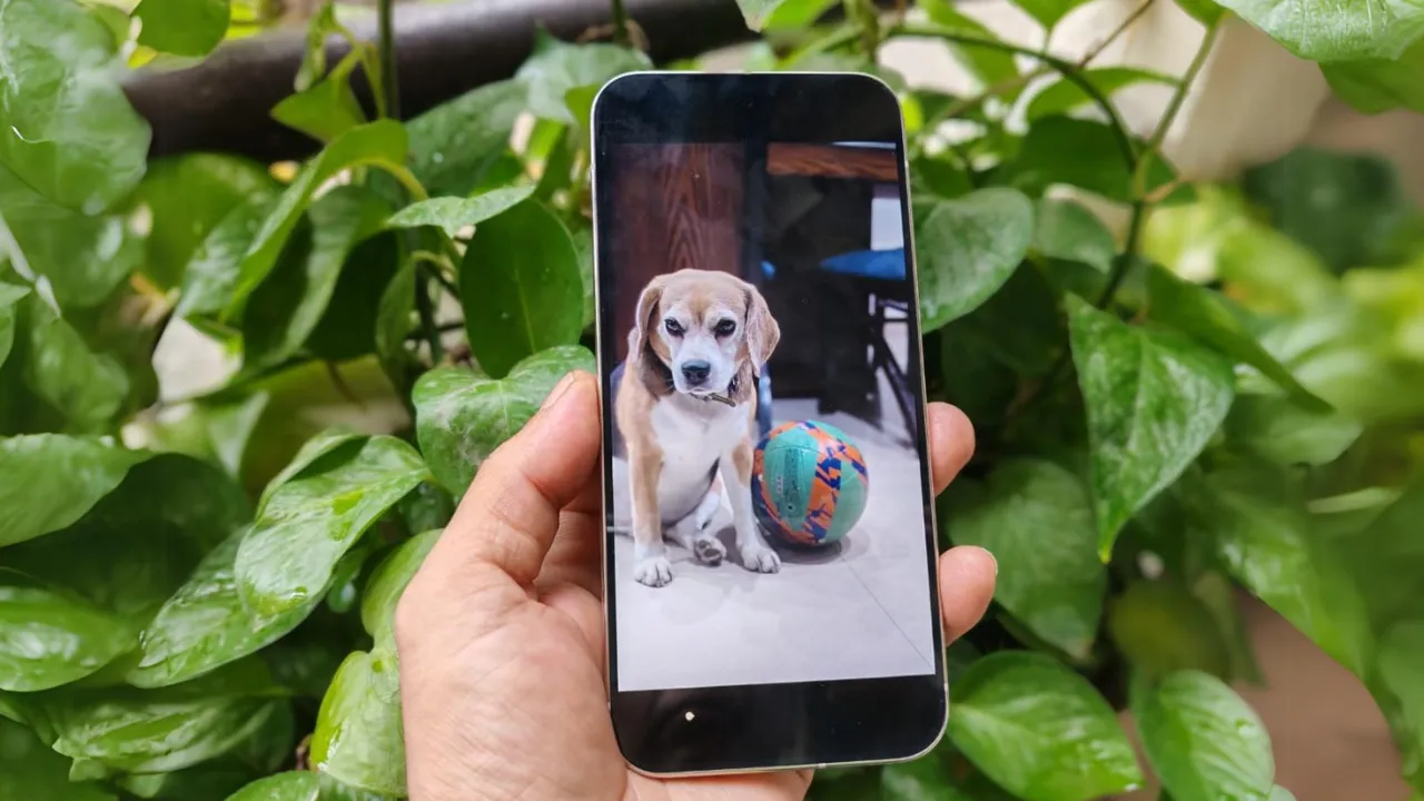 Themobileindian