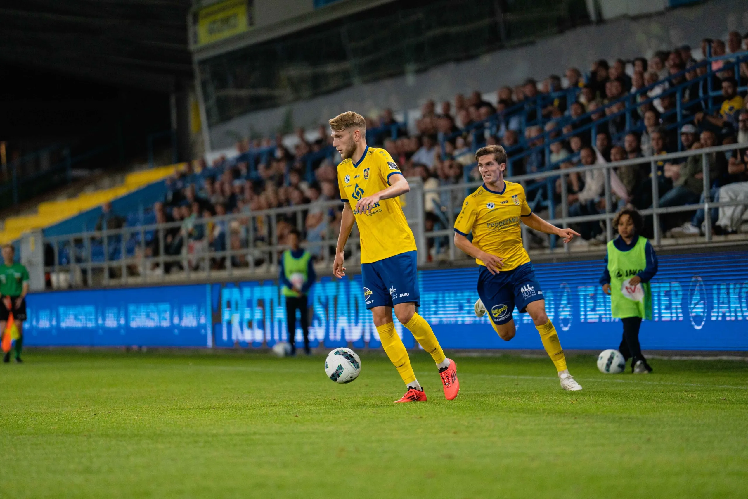 Skbeveren