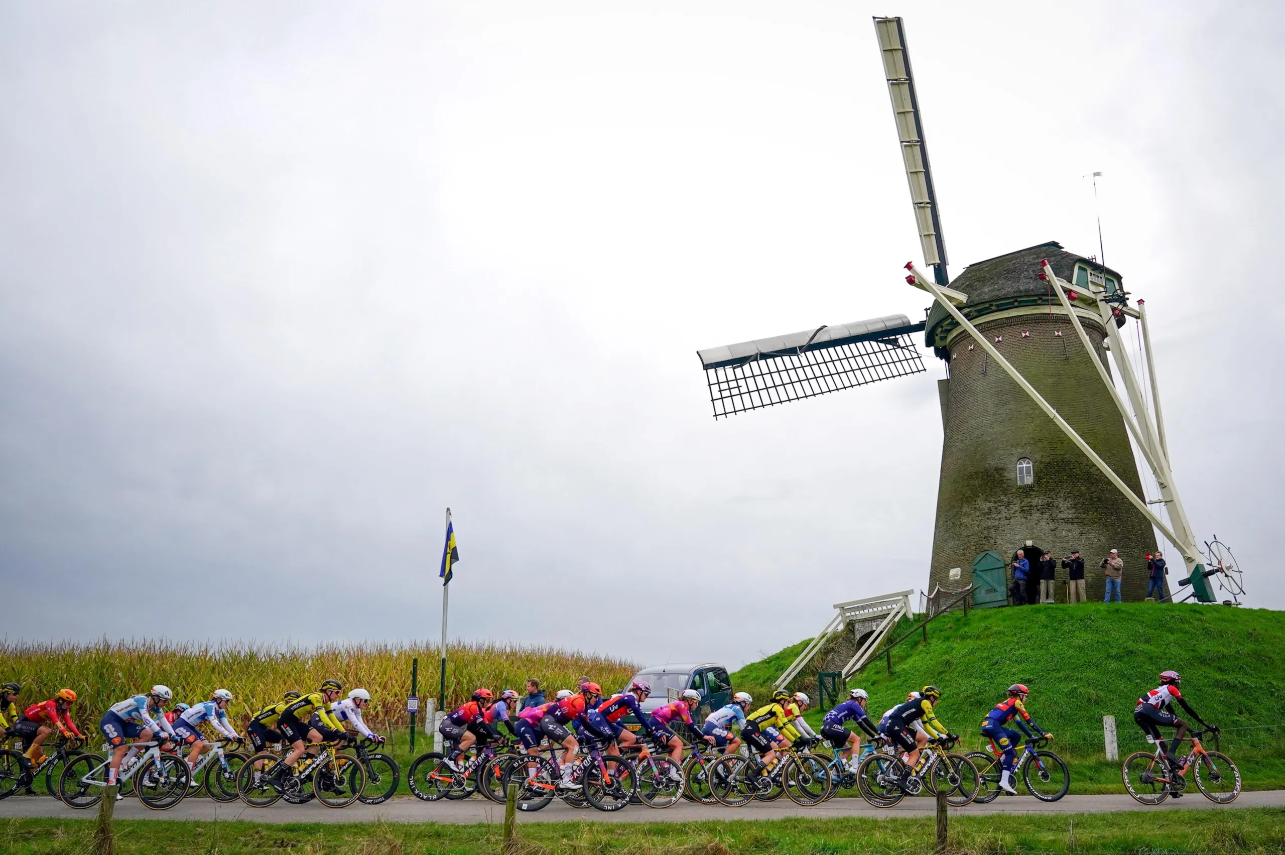 Teamdsmfirmenich-postnl