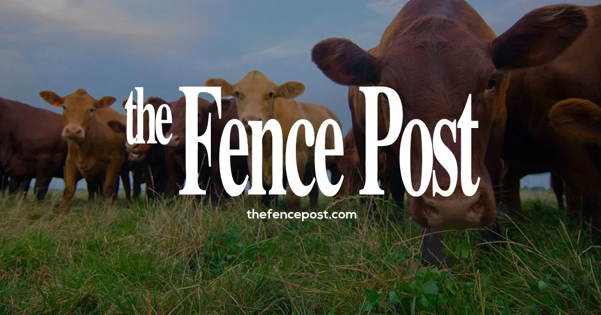 Thefencepost