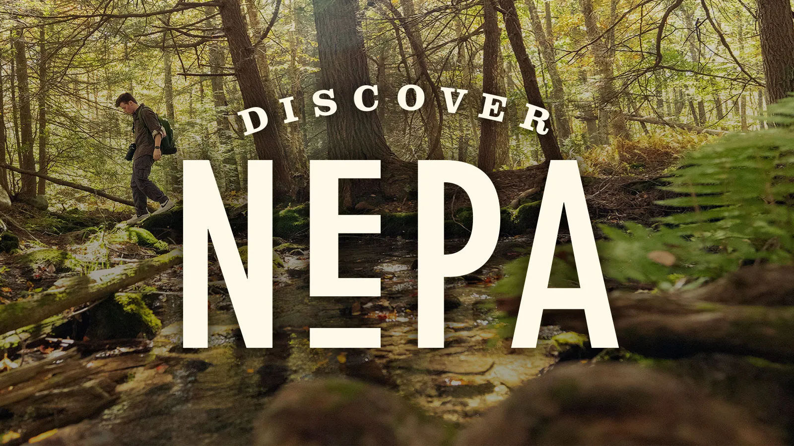 Discovernepa