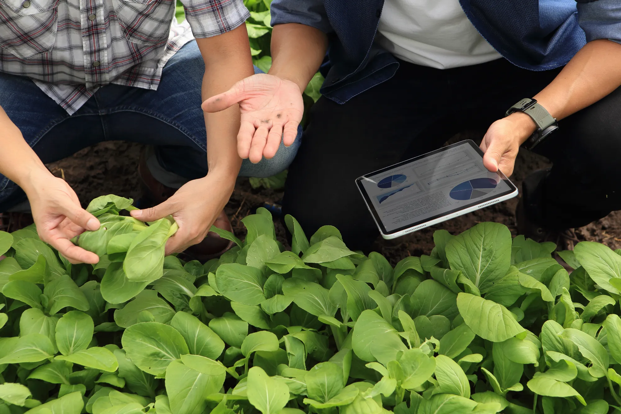 Futurefarming