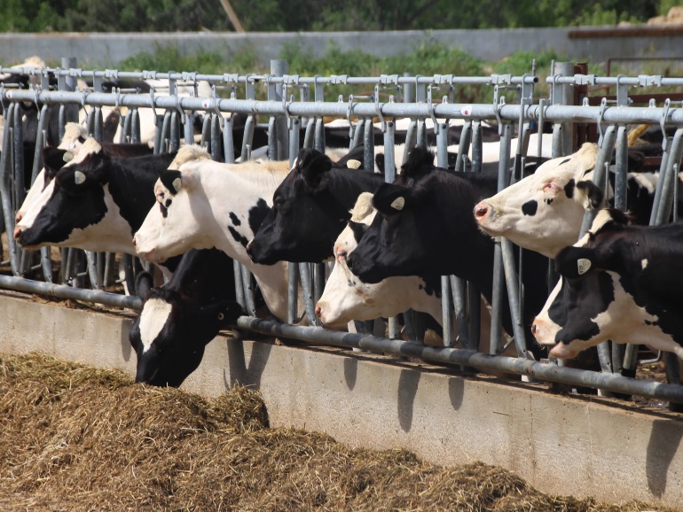 Centralalbertaonline