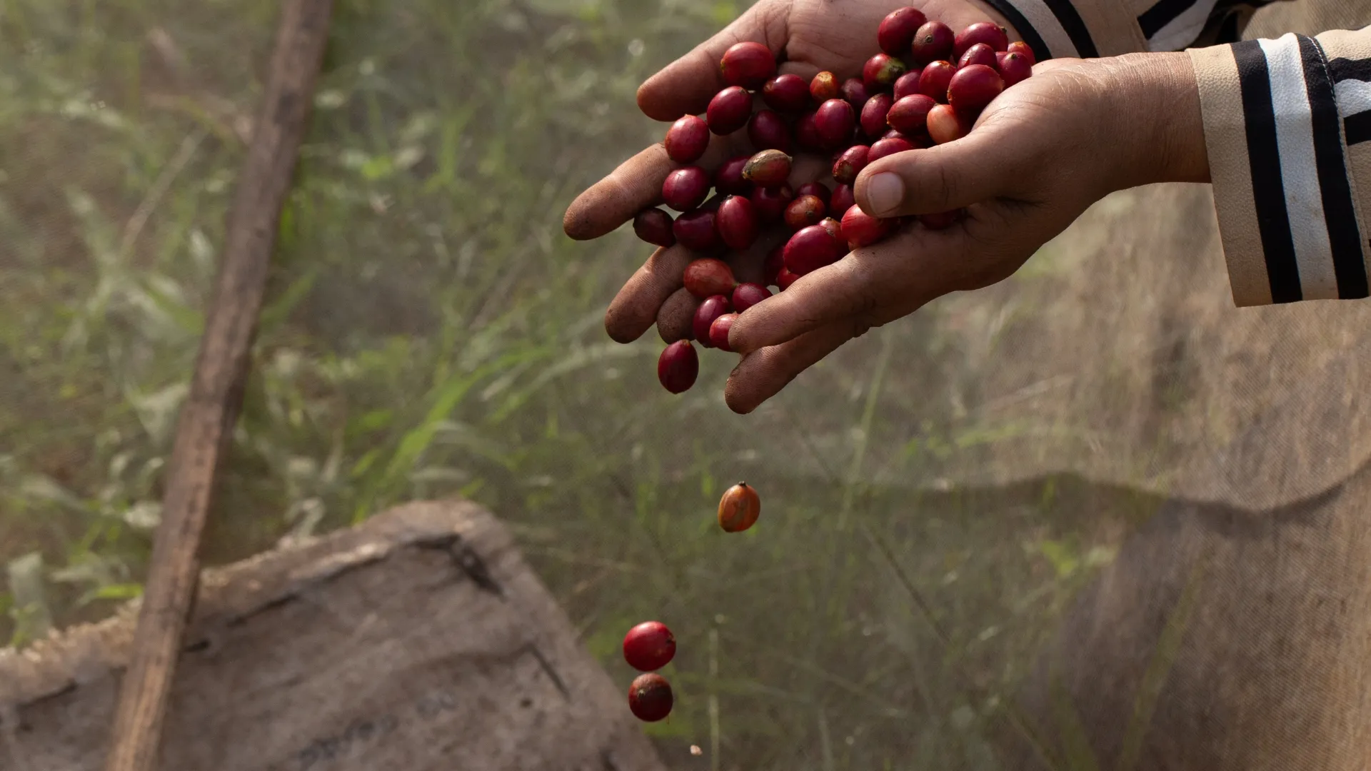 Beyondpesticides