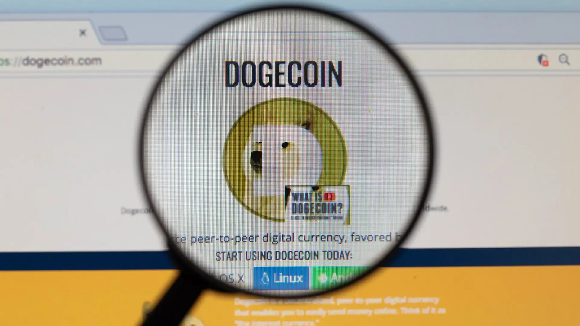 Coindesk