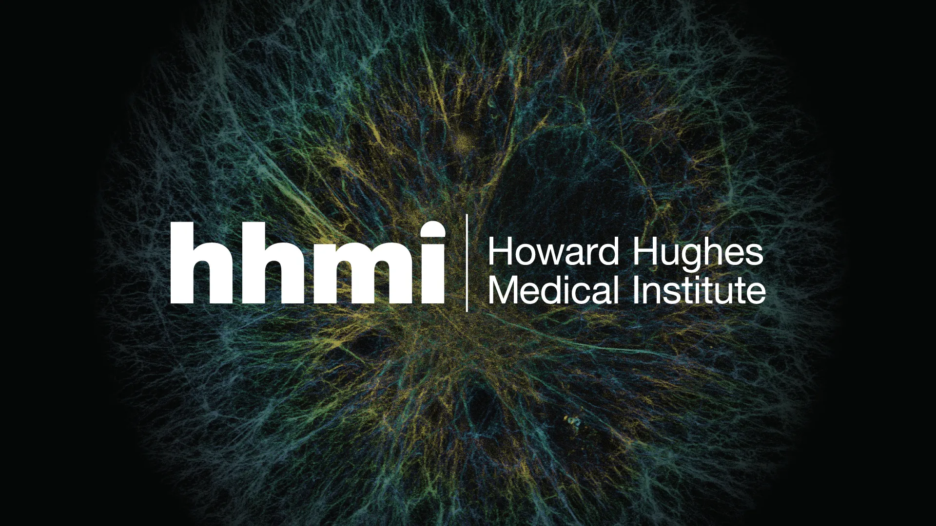 Hhmi