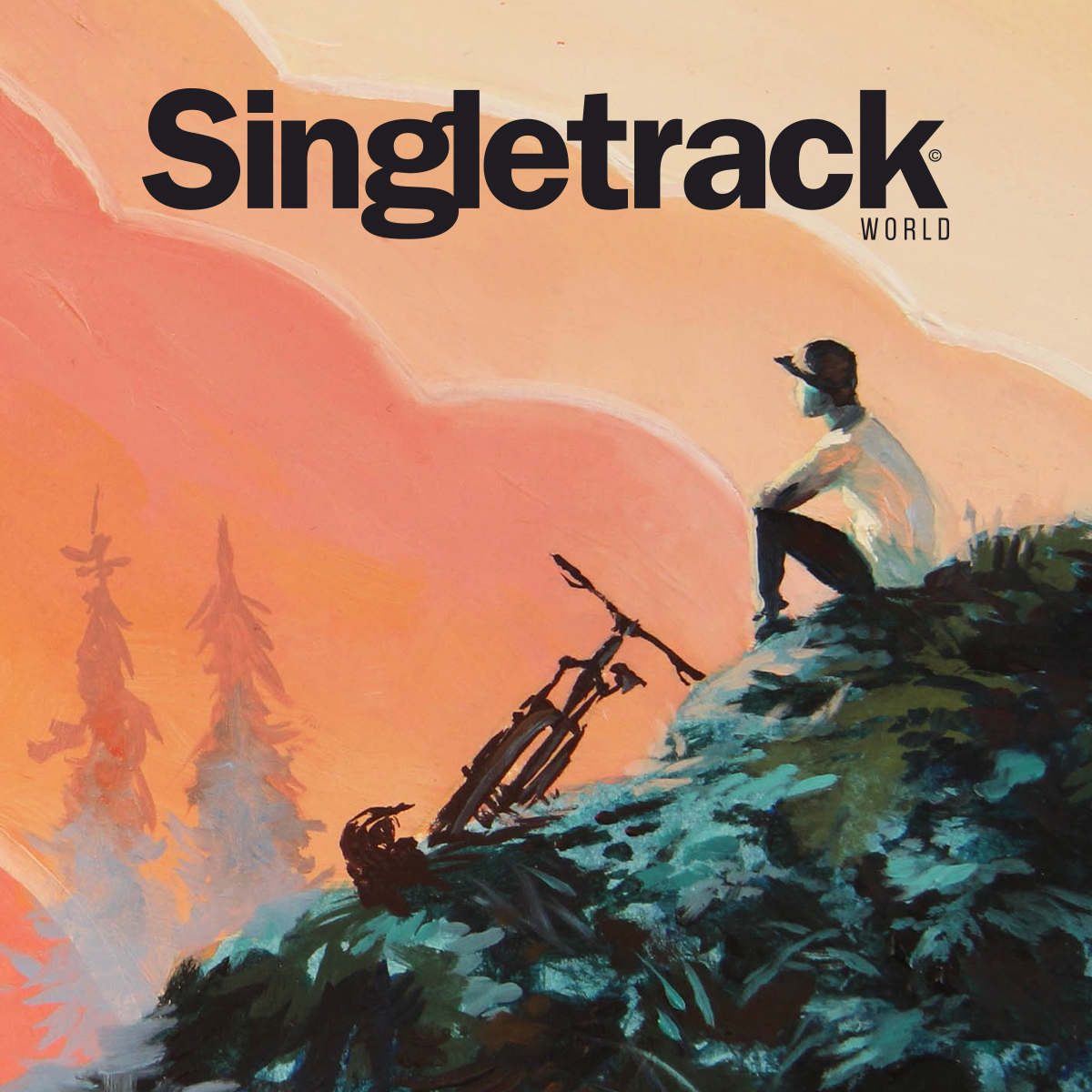 Singletrackworld