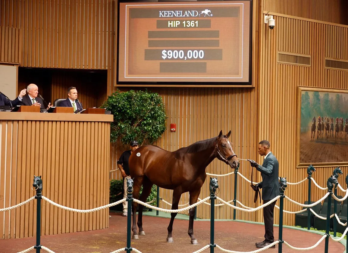 Thoroughbreddailynews