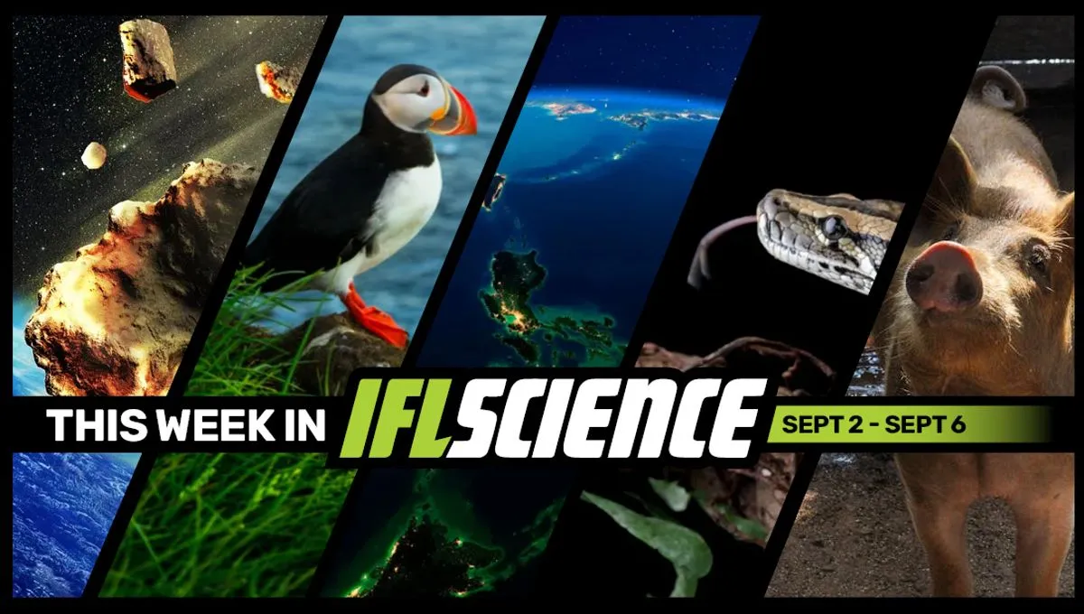 Iflscience