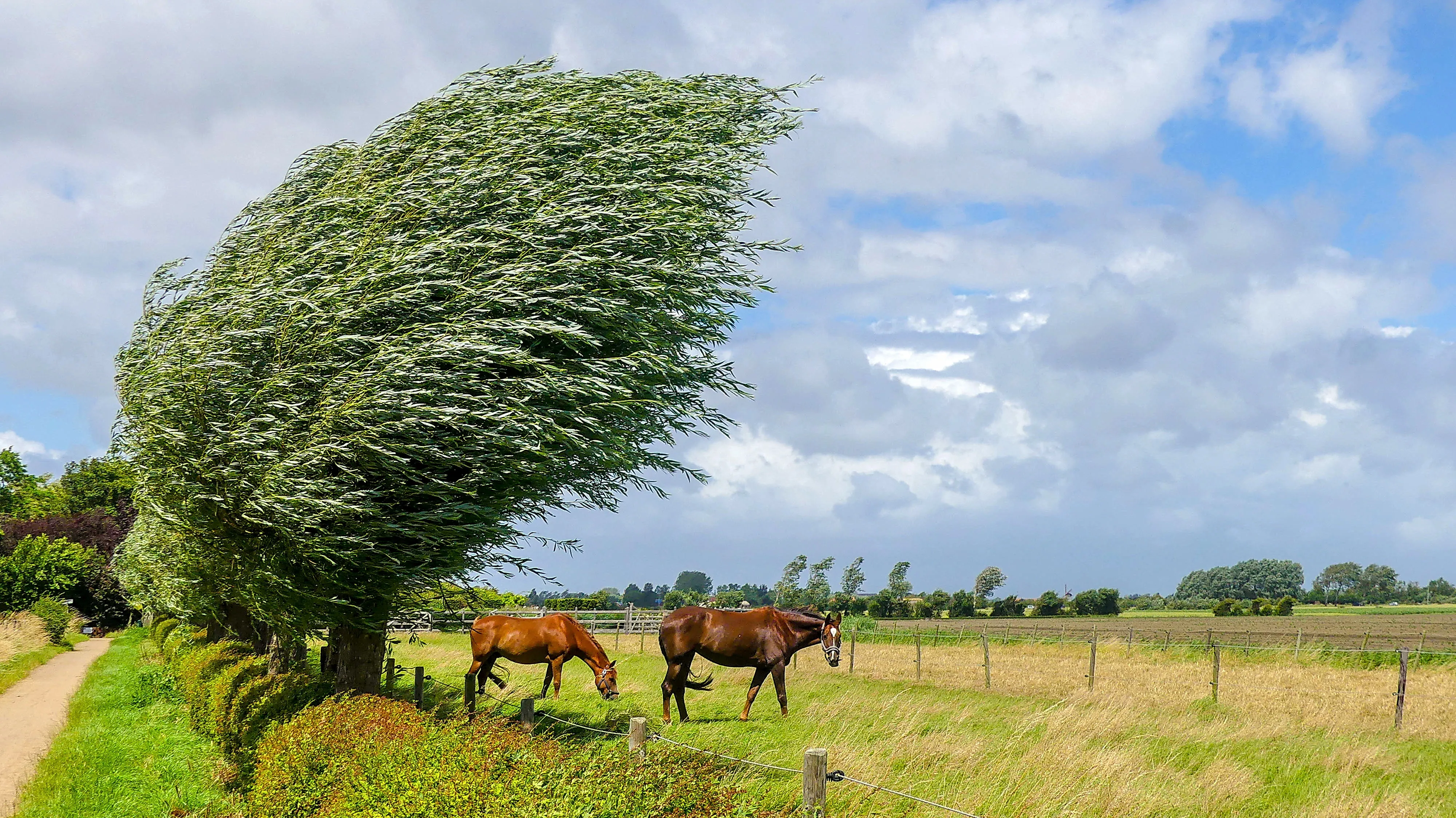 Omroepzeeland