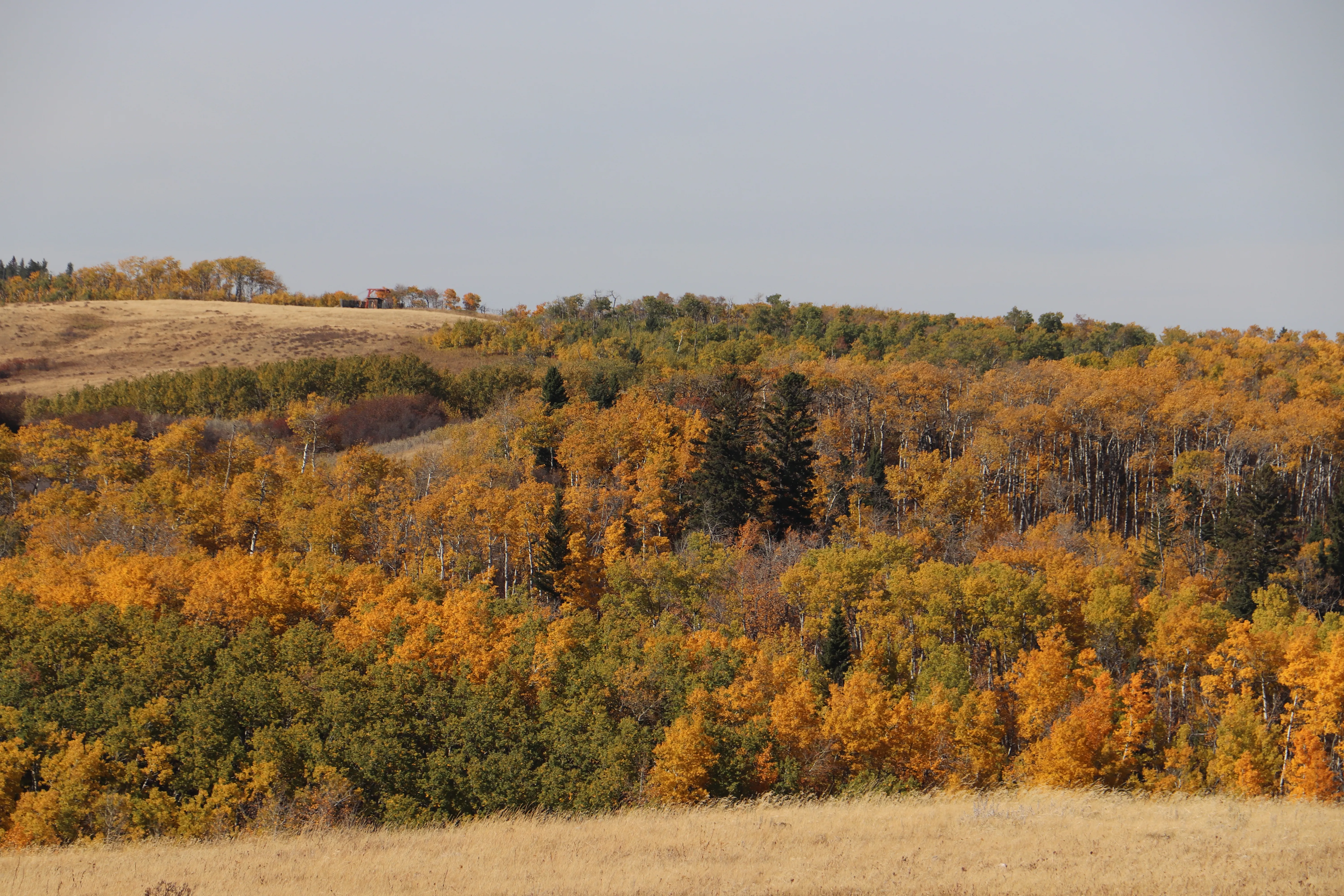 Discoverairdrie