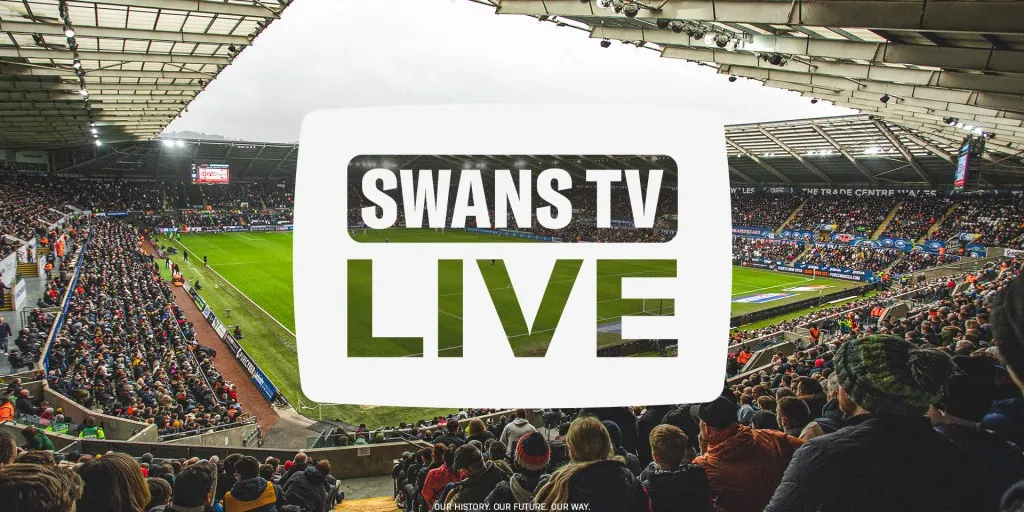 Swanseacity