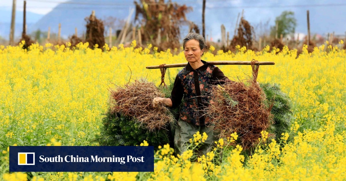 South China Morning Post